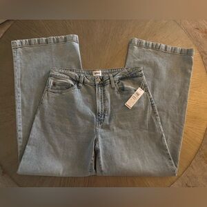 Hudson Jeans Jolene Wide Leg Size 30 NWT